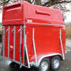 pferd02c.jpg (158590 Byte)